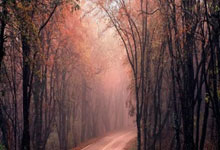 虎扑NBA官网：[国足]备战“熊猫杯”最终战 唯有三分是答案.