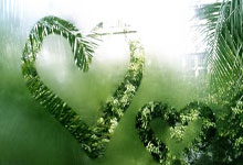 亚冬会：速度滑冰女子3000米杨滨瑜夺冠.