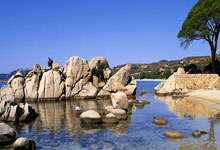 [中国男篮]中国男、女三人篮球队跻身亚洲杯八强.